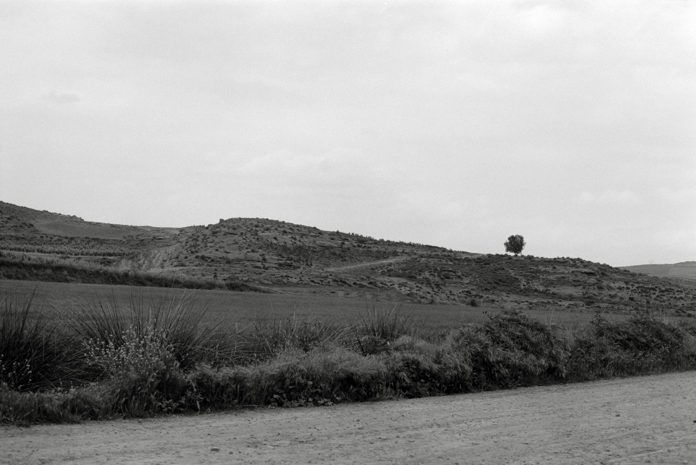 AHP F1995 05 008 sc240826 img18 NLP